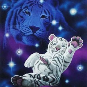 Meet your Posher, Tony